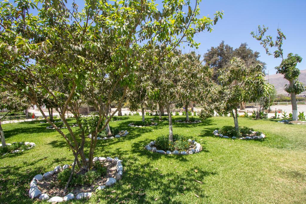 Hotel Fundo San Rafael Nazca Kültér fotó